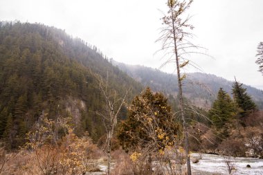 Ormandaki bir dağın üzerinde sonbahar şelale