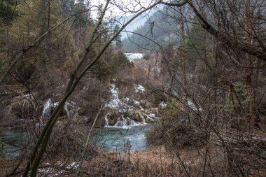 Ormandaki bir uçurumun üzerinden şelale