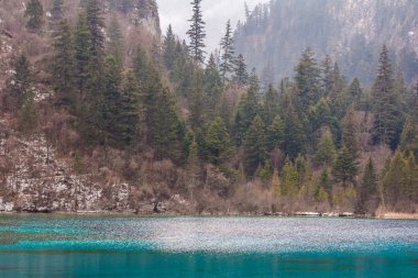 Orman Gölü Jiuzhaigou tarafından