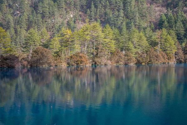 Lago em um fundo de montanhas florestais — Fotografia de Stock