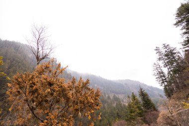 Dağlar mavi gökyüzüne karşı