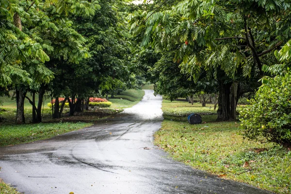 Strada nel parco — Foto Stock