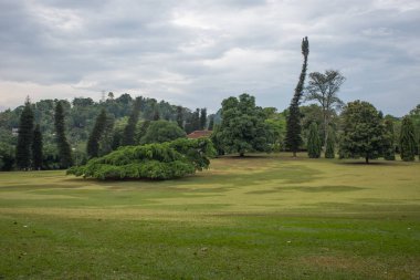 Dambulla güzel yeşil park