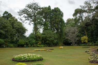 Dambulla güzel yeşil park