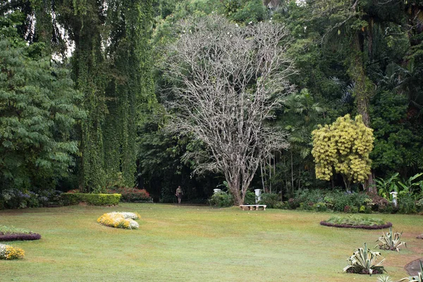 Beautiful green park in Dambulla — Stock Photo, Image