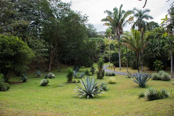 Vacker grön park i Dambulla — Stockfoto