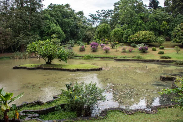 Piękny zielony park, w mieście Dambulla — Zdjęcie stockowe