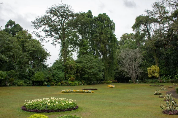 Vacker grön park i Dambulla — Stockfoto