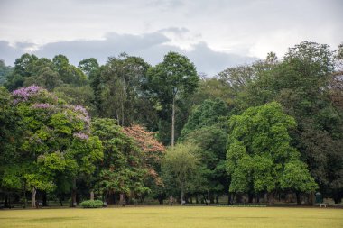 Dambulla güzel yeşil park