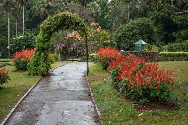 Bitkilerin yeşil bir kemer ile Park.