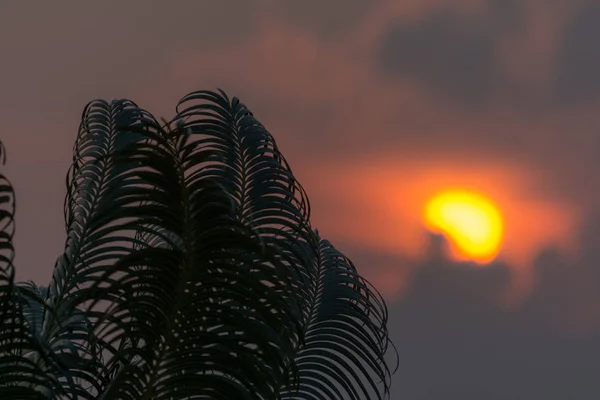Όμορφο μαύρο ουρανό ηλιόλουστο ηλιοβασίλεμα στη Σιγκαπούρη — Φωτογραφία Αρχείου