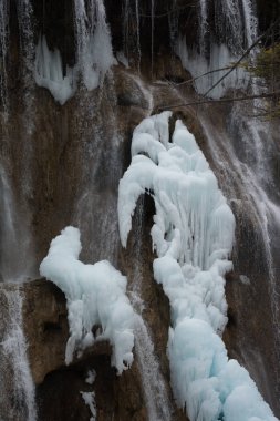 Bir kayaya donmuş su