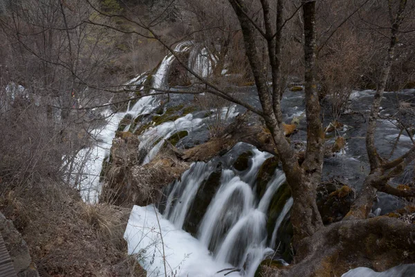 Cascata in una foresta di conifere — Foto Stock