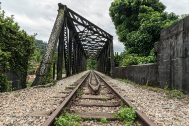 Demiryolu görüntüleyin. Eski demiryolu köprüden. Yeşil bitki örtüsü ve orman kenarlarında trende yolluk