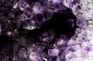 Bay tarafından bahçeleri güzel mor Ametist