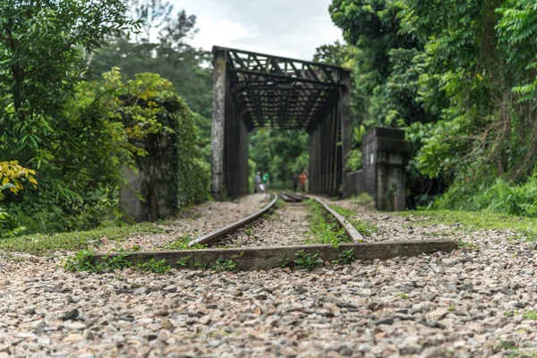 Visa längs järnvägen. Gamla järnvägen över bron. Vägen för tåget på sidorna av den gröna vegetationen och skog — Stockfoto