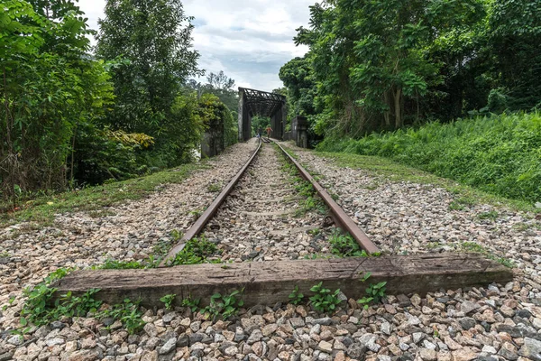 Kijk langs de spoorlijn. Oude spoorlijn over de brug. De weg voor de trein op de zijkanten van de groene vegetatie en het bos — Stockfoto