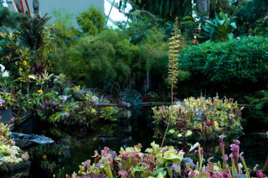 Güzel çiçekler kubbe bahçelerle Bay, Singapur, göle.