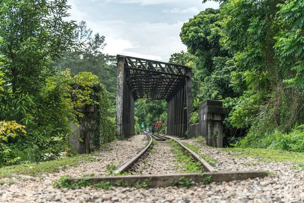 Vista lungo la ferrovia. Vecchia ferrovia che attraversa il ponte. La strada per il treno ai lati della vegetazione verde e della foresta — Foto Stock