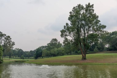 Havzanın kıyıdan görünümünü. MacRitchie rezervuar su parkı Singapur yukarıda