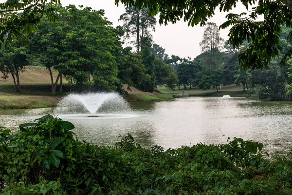 MacRitchie reservoir park Singapore. Rzeka z niewielką fontanną. — Zdjęcie stockowe