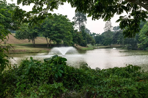 Σιγκαπούρη πάρκο δεξαμενή Macritchie. Ποταμού με ένα μικρό σιντριβάνι. — Φωτογραφία Αρχείου