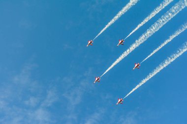 Singapur Ulusal Günü