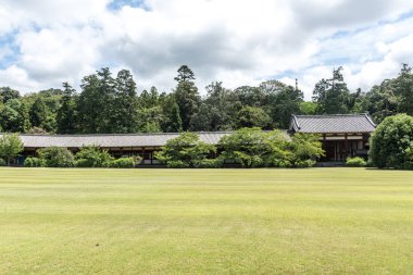 Todaiji Tapınak yakınındaki güzel, yeşil düz çim