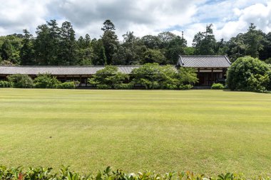 Todaiji Tapınak yakınındaki güzel, yeşil düz çim
