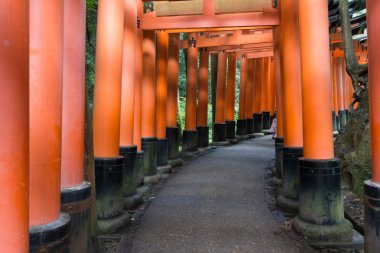 Büyük kırmızı Tories kapı.