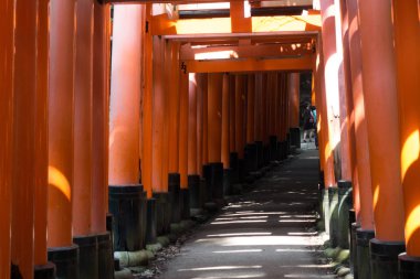 Büyük kırmızı Tories kapı.