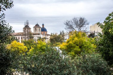Şehir manzarası ile ağaçlar ve gökyüzü, Valencia, İspanya