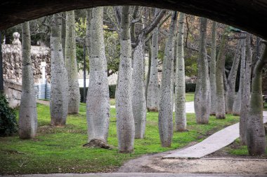 Parkta bir rampa ve çıplak ağaçlar, Valencia, İspanya ile görünümünü