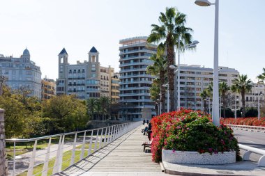 Çalının üzerinde pembe çiçekler