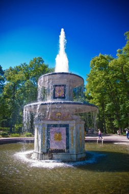 Parkta gökyüzüne karşı birkaç boynuzu olan eski çeşme.