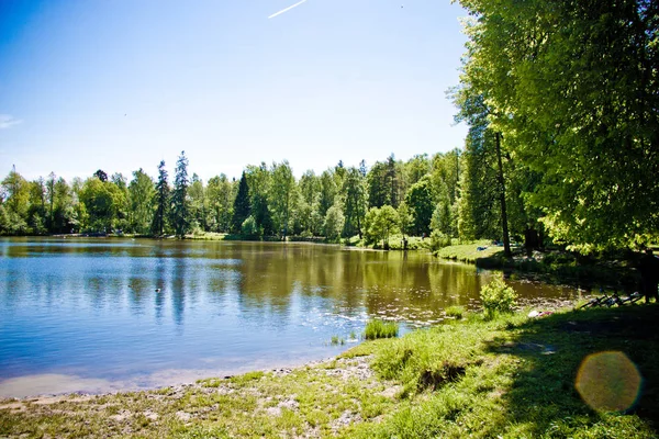 Озеро Посреди Зеленого Леса Фоне Солнечного Неба — стоковое фото