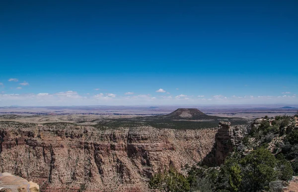 Red Mountain Range Covered Vegetation Blue Sky America — Stock Photo, Image