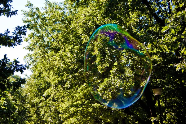 Bolhas Sabão Festivas Contexto Céu Azul Árvores Verdes — Fotografia de Stock