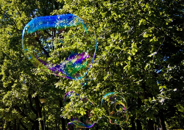 Bolhas Sabão Festivas Contexto Céu Azul Árvores Verdes — Fotografia de Stock