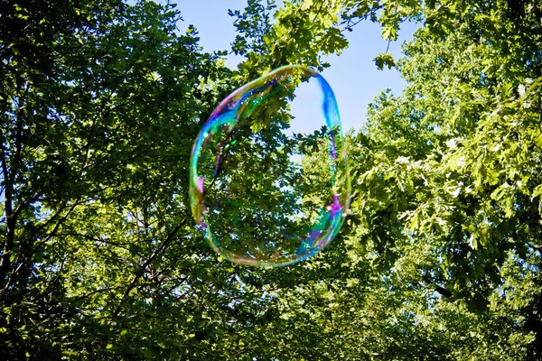 Bolhas Sabão Festivas Contexto Céu Azul Árvores Verdes — Fotografia de Stock