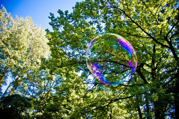 Bolhas Sabão Festivas Contexto Céu Azul Árvores Verdes — Fotografia de Stock