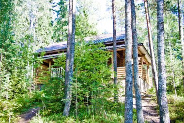 Orman gölünün panoramik manzarası