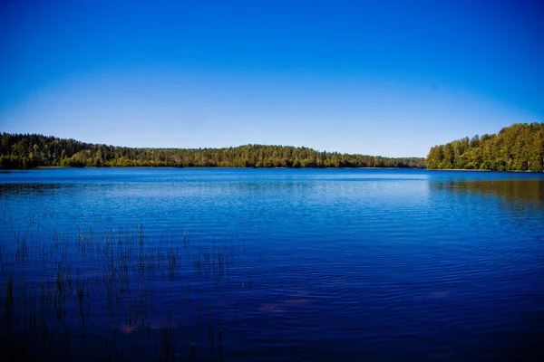 Panorama Över Skogssjö Norra Ryssland Bland Skogen Mot Blå Himmel — Stockfoto