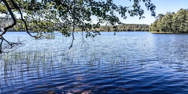 Panorama Lago Florestal Norte Rússia Entre Floresta Contra Céu Azul — Fotografia de Stock