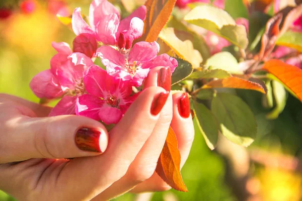 Mano Femenina Sobre Fondo Las Flores Manicura Ideal —  Fotos de Stock