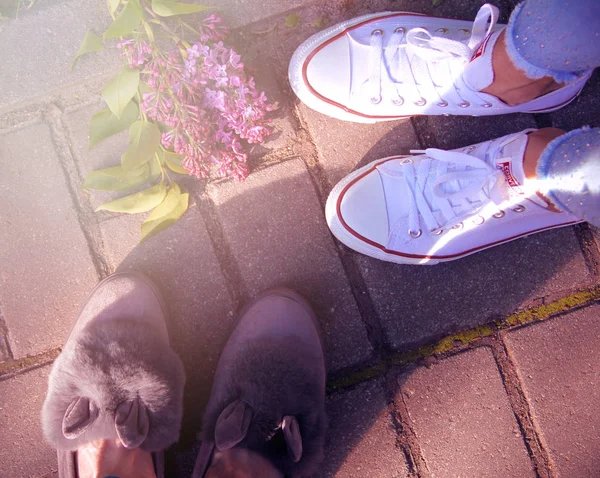 Teenage Legs Sneakers Flowers Top View — Stock Photo, Image