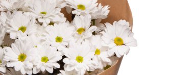 camomiles beyaz bir arka plan üzerinde buket.