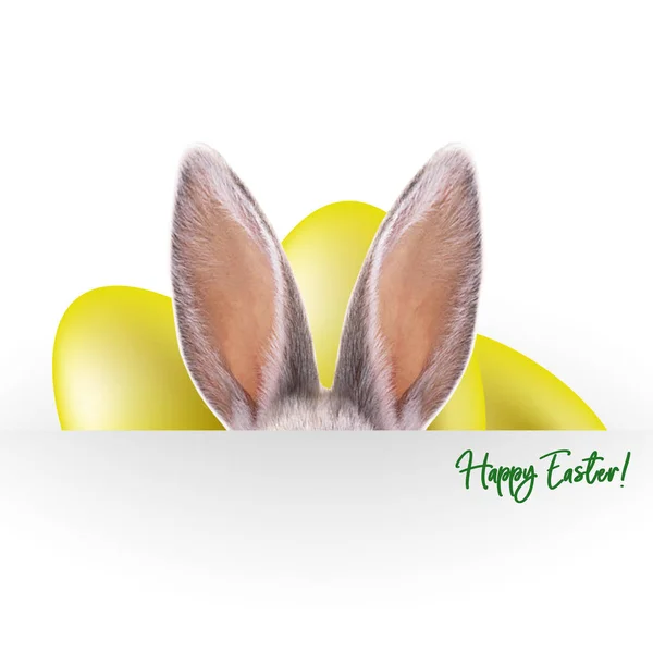 Hare Ears Easter Card Stock Photo