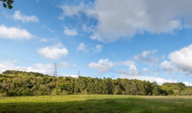 İngiliz kırsalının panoramik manzarası. Yeşil tarlalar ve yuvarlanan tepeler. Devon manzarası. Kırsal yaşamın hareketli ve sakin panoramik görüntüsü.