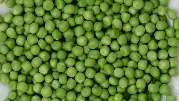 緑色のエンドウ豆粒がゆっくりと回転します 360度回転極端に近い — ストック動画